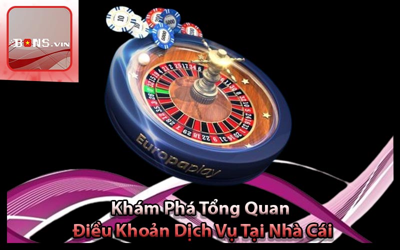 Khám Phá Tổng Quan Điều Khoản Dịch Vụ Tại Nhà Cái